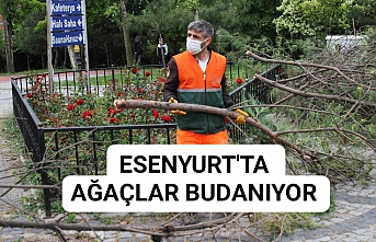 ESENYURT’TA AĞAÇLAR BUDANIYOR