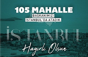 GELECEK PARTİSİ İSTANBUL, MAHALLELERDE 'DALYA' YAPTI.