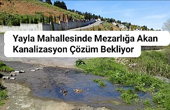 Yayla Mahallesinde Mezarlığa Akan Kanalizasyon Çözüm Bekliyor