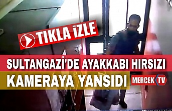 Sultangazi'de Ayakkabı Hırsızı Kameraya Yakalandı.