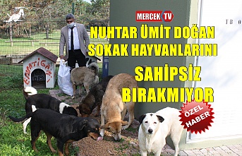 Muhtar Ümit Doğan Sokak Hayvanlarını Sahipsiz Bırakmıyor !.