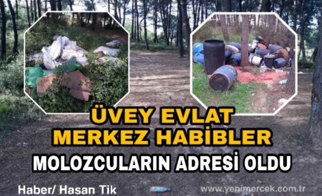 Üvey Evlat Merkez Habibler Molozcuların Adresi Oldu.