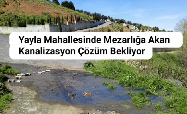 Yayla Mahallesinde Mezarlığa Akan Kanalizasyon Çözüm Bekliyor