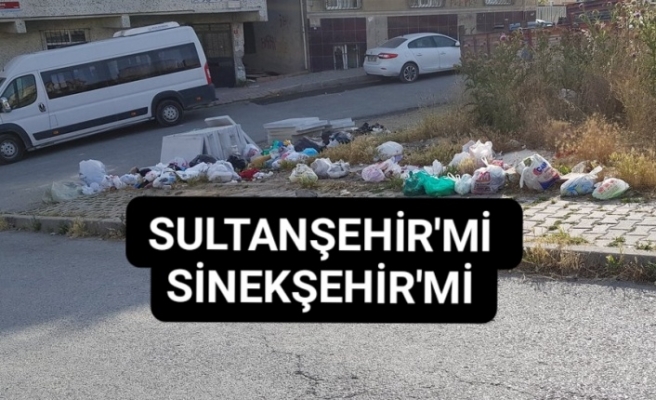 Sultanşehir'mi Sinekşehir'mi.