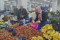 Başkan Ferhat Epözdemir pazar önlüğü giyip meyve sattı