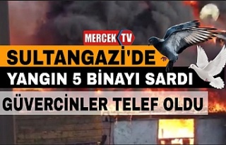 Sultangazi'de Yangın Paniği 5 Binayı Sardı