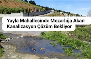 Yayla Mahallesinde Mezarlığa Akan Kanalizasyon Çözüm...