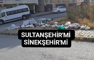 Sultanşehir'mi Sinekşehir'mi.