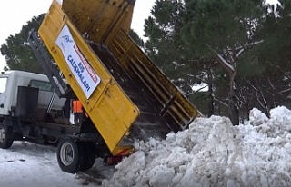 Sultangazi'de toplanan kamyon kamyon kar Alibeyköy...