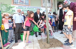 Sultangazi Belediyesi Yeni Bir Ağaç Dikim Seferberliği...