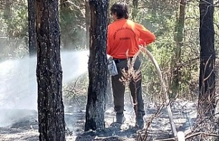 Sultangazi Kent Ormanı'nda korkutan yangın